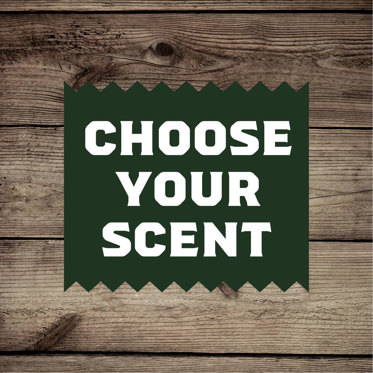 Body Wash 3-Pack - Simple Gift Rotation
