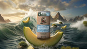 Coastal Mist Invisible Glide Deodorant - Travel Shield