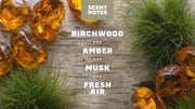 14 oz Birchwood Breeze Body Wash - Premium Morning Wash