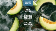 Coastal Mist Deodorant - Daily Travel Routine