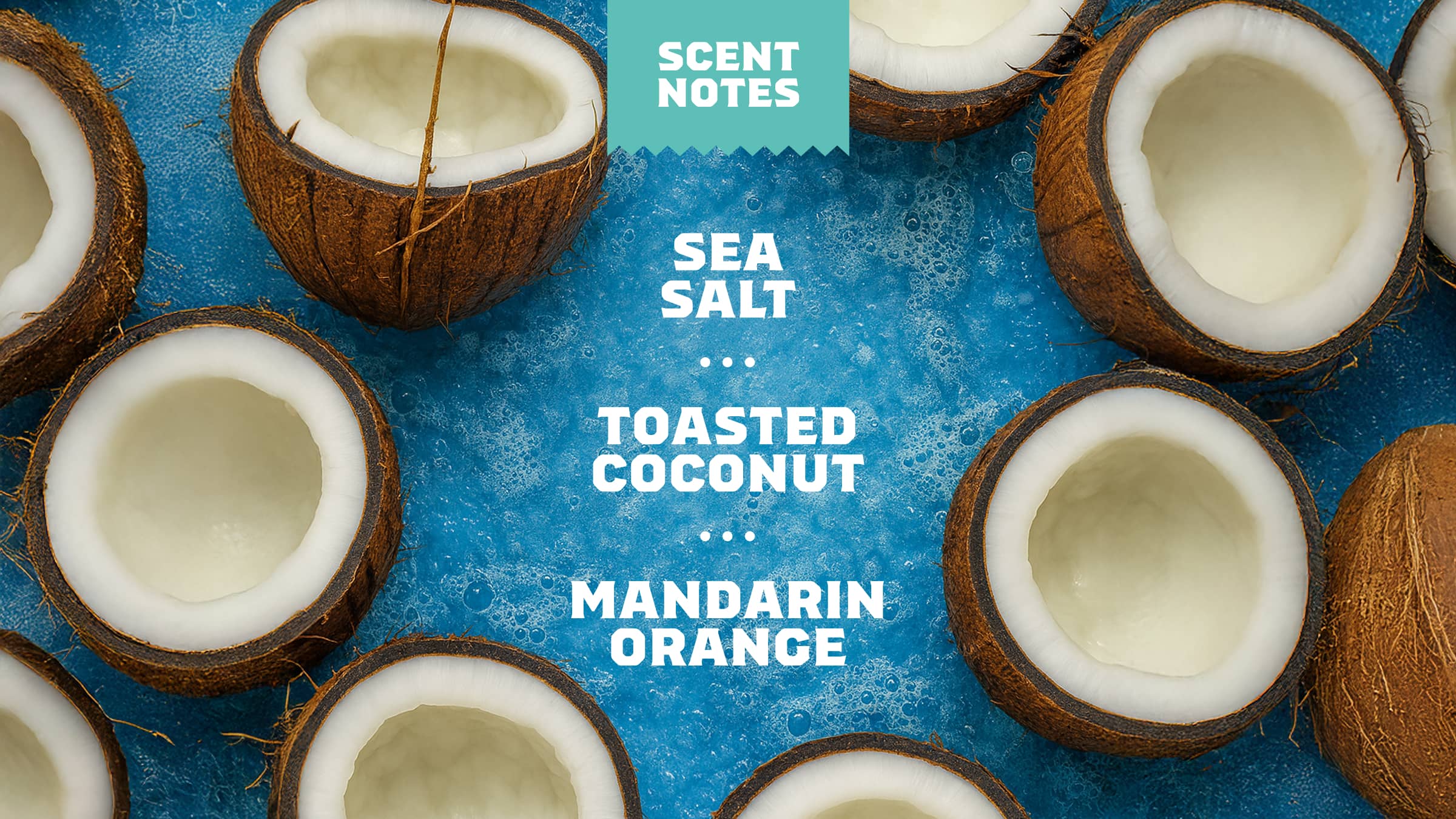 14 oz Coconut Castaway Body Wash - Trail Outdoor Start