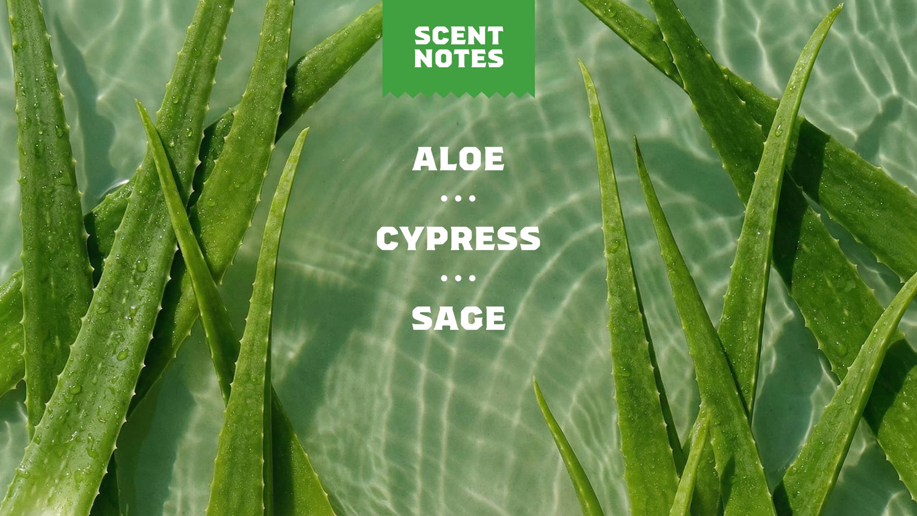 Cool Fresh Aloe - Easy Outdoor Lather