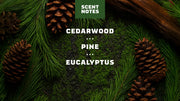 Easy Glide Shave Butter Pine Tar - Active Fresh Shield