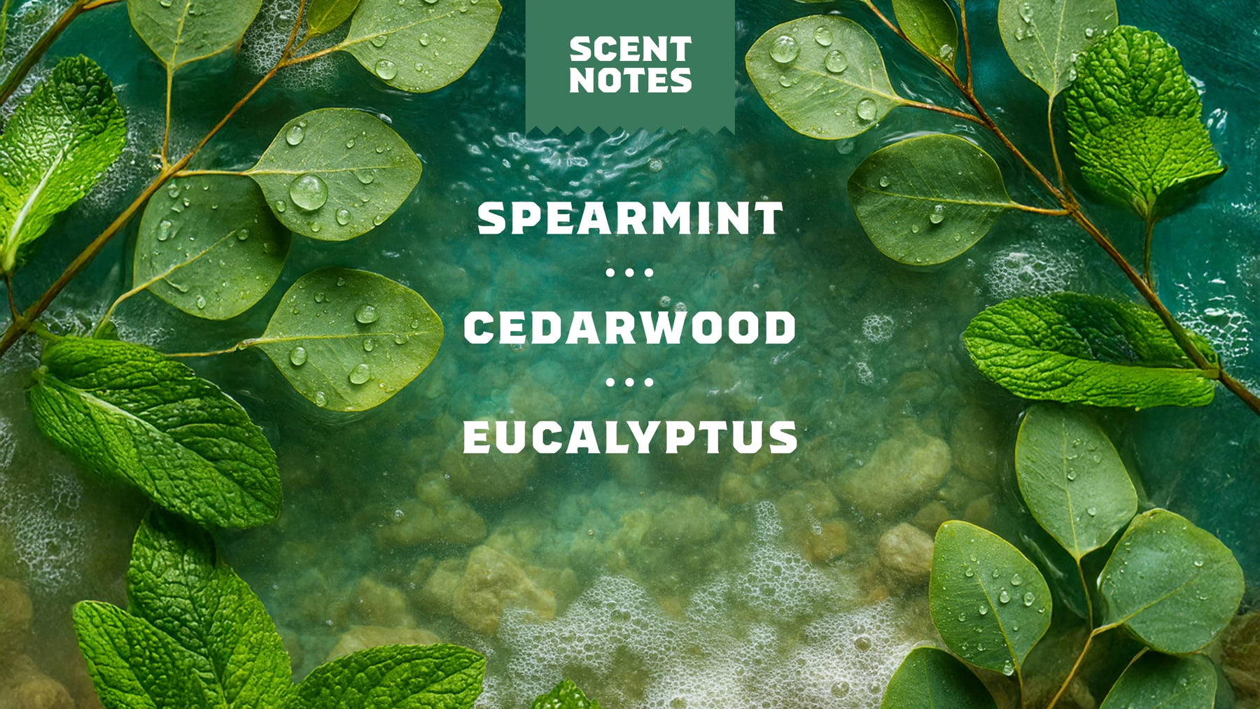 Rainforest Rapids Spray Deodorant - Easy Routine