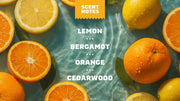 Summer Citrus Deodorant - Daily Shield