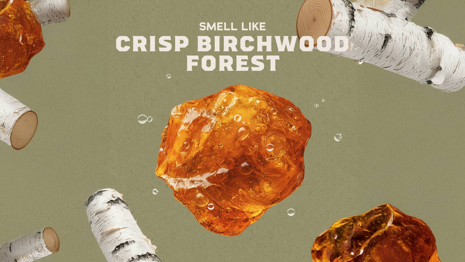 Birchwood Breeze - Essential Fresh Lather