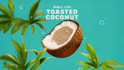 Coconut Castaway - Clean Shower Start