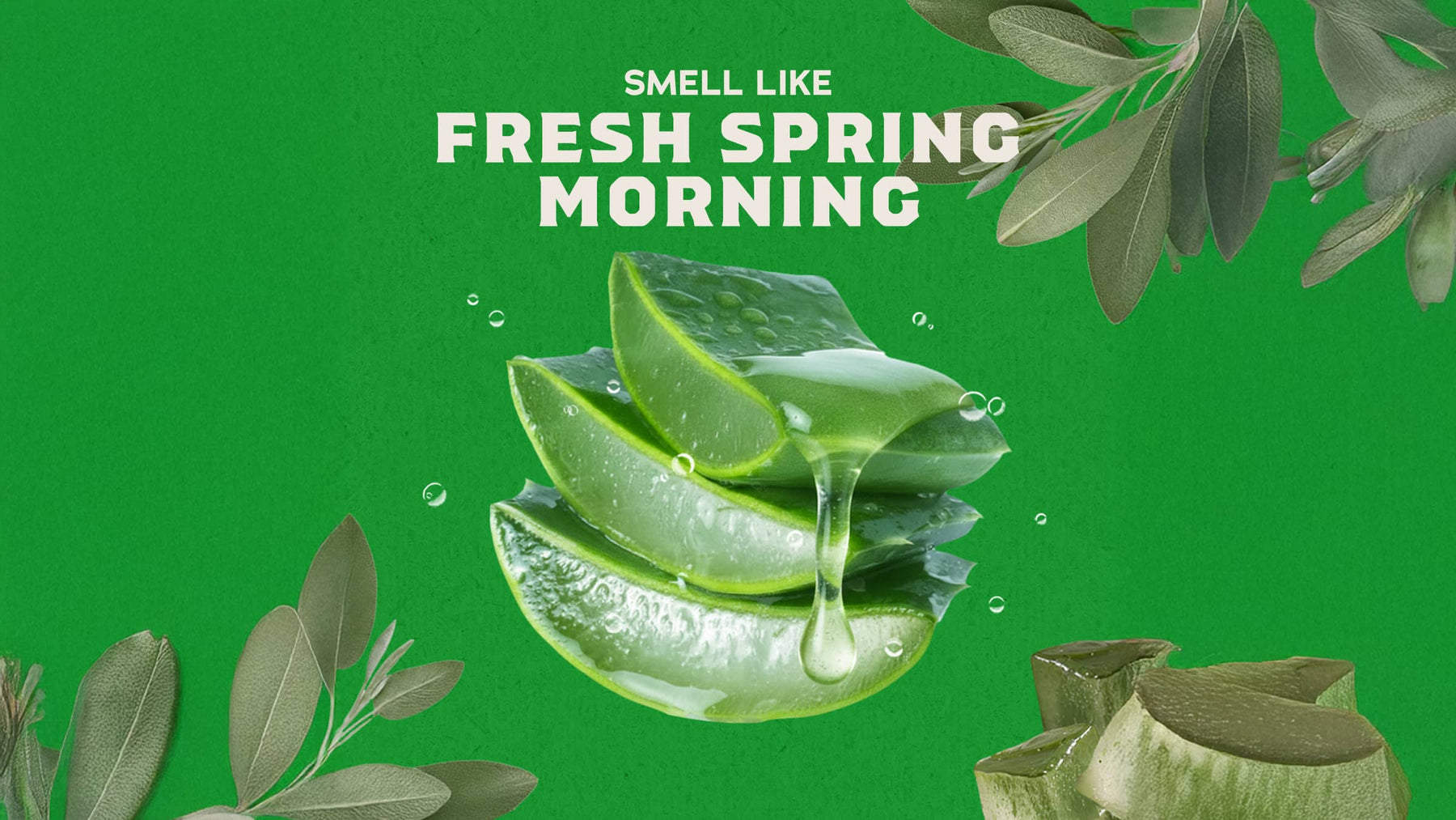 Cool Fresh Aloe Conditioner - Full Active Care