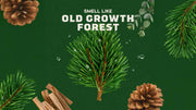 14 oz Pine Tar Exfoliating Body Wash - Daily Outdoor Routine