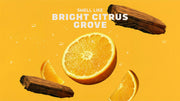 Summer Citrus Invisible Glide Deodorant - Collector Pick